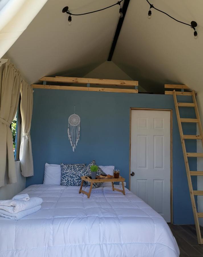 Tiny House Dreamcatcher Sarchí Eksteriør bilde